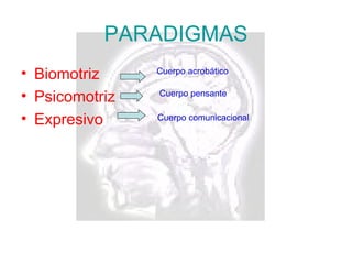 Psicomotricidad Paradigmas
