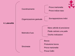 Coordinamento
Organizzazione gestuale
Motricità d’uso
Sincinesie
Prove marionette
Prove indice-naso
Sovrapposizione indici
Mano attività di precisione
Piede calciare una palla
Occhio indicazioni
Bocca
Protusione bocca
Prova marionette
Prova Collin
4. Lateralità
 