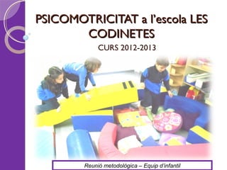 PSICOMOTRICITAT a l’escola LES
       CODINETES
             CURS 2012-2013




        Reunió metodològica – Equip d’infantil
 