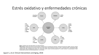Estrés oxidativo y enfermedades crónicas
Liguori L, et al. Clinical interventions and Aging, 2018
 