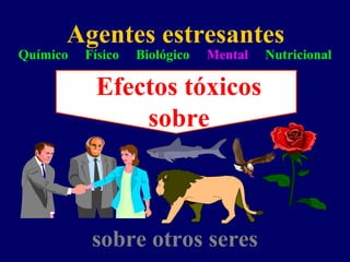 Agentes estresantes
Químico Físico Biológico Mental Nutricional
Efectos tóxicos
sobre
sobre otros seres
 