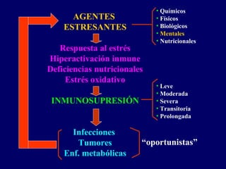 AGENTES
ESTRESANTES
Respuesta al estrés
Hiperactivación inmune
Deficiencias nutricionales
Estrés oxidativo
INMUNOSUPRESIÓN
Infecciones
Tumores
Enf. metabólicas
• Químicos
• Físicos
• Biológicos
• Mentales
• Nutricionales
• Leve
• Moderada
• Severa
• Transitoria
• Prolongada
“oportunistas”
 