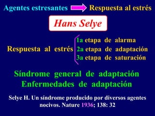 Agentes estresantes Respuesta al estrés
1a etapa de alarma
Respuesta al estrés 2a etapa de adaptación
3a etapa de saturación
Hans Selye
Síndrome general de adaptación
Enfermedades de adaptación
Selye H. Un síndrome producido por diversos agentes
nocivos. Nature 1936; 138: 32
 