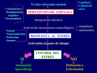 Evento estresante mental
Integración afectiva
Activación mecanismos neurológicos
Activación órganos de choque
SI NO
Atenuación
Aprendizaje
Disfunción o
Enfermedad
• Neural
• Neuroendocrina
• Endocrina
• Inmune
• Constitución o
Predisposición
orgánica
• Personalidad
somáticos
autónomos
• Cantidad y
• Calidad del
estrés
PERCEPCIÓN DE AMENAZA
RESPUESTA AL ESTRÉS
CONTROL DEL
ESTRÉS
 