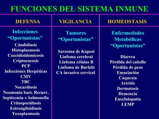 FUNCIONES DEL SISTEMA INMUNE
DEFENSA VIGILANCIA HOMEOSTASIS
Cándidiasis
Histoplasmosis
Coccidioidomicosis
Criptococosis
PCP
Infecciones Herpéticas
CMV
TBC
Nocardiosis
Neumonia bact. Recurr.
Septicemia x Salmonella
Critosporidiosis
Estrongiloidiasis
Toxoplasmosis
Sarcoma de Kaposi
Linfoma cerebral
Linfoma células B
Linfoma de Burkitt
CA invasivo cervical
Diarrea
Pérdida del cabello
Pérdida de peso
Emaciación
Caquexia
Artritis
Dermatosis
Demencia
Encefalopatia
LEMP
Infecciones
“Oportunistas”
Tumores
“Oportunistas”
Enfermedades
Metabólicas
“Oportunistas”
 