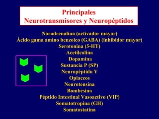 Principales
Neurotransmisores y Neuropéptidos
Noradrenalina (activador mayor)
Ácido gama amino benzoico (GABA) (inhibidor mayor)
Serotonina (5-HT)
Acetílcolina
Dopamina
Sustancia P (SP)
Neuropéptido Y
Opiaceos
Neurotensina
Bombesina
Péptido Intestinal Vasoactivo (VIP)
Somatotropina (GH)
Somatostatina
 