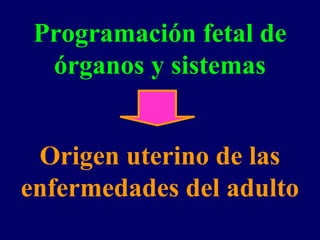 Programación fetal de
órganos y sistemas
Origen uterino de las
enfermedades del adulto
 