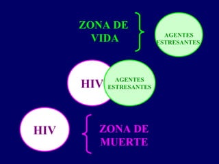 HIV
HIV
AGENTES
ESTRESANTES
AGENTES
ESTRESANTES
ZONA DE
MUERTE
ZONA DE
VIDA
 