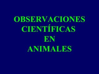 OBSERVACIONES
CIENTÍFICAS
EN
ANIMALES
 