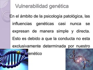 Vulnerabilidad genética
En el ámbito de la psicología patológica, las
 influencias   genéticas   casi   nunca   se
 expresan de manera simple y directa.
 Esto es debido a que la conducta no esta
 exclusivamente determinada por nuestro
 Acervo genético
 