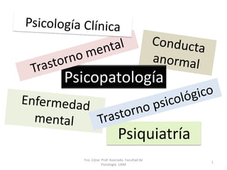 Psicopatología


                        Psiquiatría
  Fco. Cózar. Prof. Asociado. Facultad de
                                            1
              Psicología. UAM
 