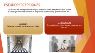 Psicopatología de la SENSOPERCEPCIÓN ALUCINACIONES | PPTX