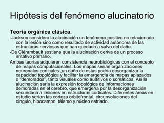 Hipótesis del fenómeno alucinatorio
Teoría orgánica clásica.
-Jackson considera la alucinación un fenómeno positivo no relacionado
con la lesión sino como resultado de actividad autónoma de las
estructuras nerviosas que han quedado a salvo del daño.
-De Clérambault sostiene que la alucinación deriva de un proceso
irritativo primario.
Ambas teorías adquieren consistencia neurobiológicas con el concepto
de mapas computacionales. Los mapas serían organizaciones
neuronales corticales ,un daño de estas podría desorganizar la
capacidad topológica y facilitar la emergencia de mapas aplazados
o “demorados”, tanto visuales como auditivos o somáticos. Así la
alucinación seria la expresión topológica de informaciones
demoradas en el cerebro, que emergería por la desorganización
secundaria a lesiones en estructuras corticales. Diferentes áreas en
estudio serían las corteza orbitofrontal, circunvoluciones del
cíngulo, hipocampo, tálamo y núcleo estriado.
 