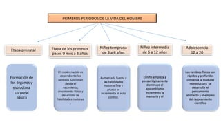 PRIMEROS PERIODOS DE LA VIDA DEL HOMBRE 
Etapa prenatal Etapa de los primeros 
pasos 0 mes a 3 años 
Niñez temprana 
de 3 a 6 años 
Niñez intermedia 
de 6 a 12 años 
Adolescencia 
12 a 20 
Formación de 
los órganos y 
estructura 
corporal 
básica 
El recién nacido es 
dependiente los 
sentidos funcionan 
desde el 
nacimiento, 
crecimiento físico y 
desarrollo de 
habilidades motoras 
. 
Aumenta la fuerza y 
las habilidades 
motoras fina y 
gruesa se 
incrementa el auto 
control. 
El niño empieza a 
pensar lógicamente 
disminuye el 
egocentrismo 
incrementa la 
memoria y el 
Los cambios físicos son 
rápidos y profundos 
comienza la madurez 
reproductora se 
desarrolla el 
pensamiento 
abstracto y el empleo 
del razonamiento 
científico 
 