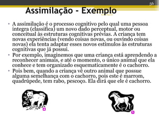 Profª Dra Teresa Cristina
Barbo Siqueira
Assimilação - Exemplo
• A assimilação é o processo cognitivo pelo qual uma pessoa
integra (classifica) um novo dado perceptual, motor ou
conceitual às estruturas cognitivas prévias. A criança tem
novas experiências (vendo coisas novas, ou ouvindo coisas
novas) ela tenta adaptar esses novos estímulos às estruturas
cognitivas que já possui.
• Por exemplo, imaginemos que uma criança está aprendendo a
reconhecer animais, e até o momento, o único animal que ela
conhece e tem organizado esquematicamente é o cachorro.
• Pois bem, quando a criança vê outro animal que possue
alguma semelhança com o cachorro, pois este é marrom,
quadrúpede, tem rabo, pescoço. Ela dirá que ele é cachorro.
56
 