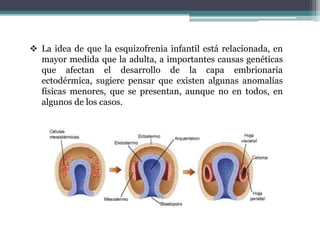  La idea de que la esquizofrenia infantil está relacionada, en
  mayor medida que la adulta, a importantes causas genéticas
  que afectan el desarrollo de la capa embrionaria
  ectodérmica, sugiere pensar que existen algunas anomalías
  físicas menores, que se presentan, aunque no en todos, en
  algunos de los casos.
 