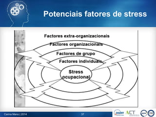 Carina Mano | 2014 37
Potenciais fatores de stress
 