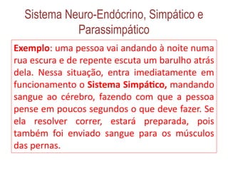 Sistema Neuro-Endócrino, Simpático e
Parassimpático
Exemplo: uma pessoa vai andando à noite numa
rua escura e de repente escuta um barulho atrás
dela. Nessa situação, entra imediatamente em
funcionamento o Sistema Simpático, mandando
sangue ao cérebro, fazendo com que a pessoa
pense em poucos segundos o que deve fazer. Se
ela resolver correr, estará preparada, pois
também foi enviado sangue para os músculos
das pernas.
 