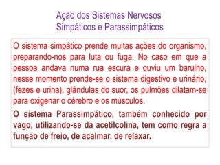 Ação dos Sistemas Nervosos
Simpáticos e Parassimpáticos
O sistema simpático prende muitas ações do organismo,
preparando-nos para luta ou fuga. No caso em que a
pessoa andava numa rua escura e ouviu um barulho,
nesse momento prende-se o sistema digestivo e urinário,
(fezes e urina), glândulas do suor, os pulmões dilatam-se
para oxigenar o cérebro e os músculos.
O sistema Parassimpático, também conhecido por
vago, utilizando-se da acetilcolina, tem como regra a
função de freio, de acalmar, de relaxar.
 