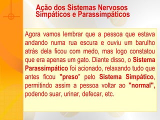 Ação dos Sistemas Nervosos
Simpáticos e Parassimpáticos
Agora vamos lembrar que a pessoa que estava
andando numa rua escura e ouviu um barulho
atrás dela ficou com medo, mas logo constatou
que era apenas um gato. Diante disso, o Sistema
Parassimpático foi acionado, relaxando tudo que
antes ficou "preso" pelo Sistema Simpático,
permitindo assim a pessoa voltar ao "normal",
podendo suar, urinar, defecar, etc.
 