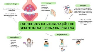 INIBIDORES DA RECAPTAÇÃO DE
SEROTONINA E NORADRENALINA
Bloqueiam a recaptação de serotonina
e noradrenalina.
com isso aumentam os
neurotransmissores na fenda
sináptica.
mecanismo de ação
Fármacos
Velafaxina
Duoloxetina
desvenlafaxina
levomilnaciprana
Interações
Foram observadas interações graves
em pacientes que faziam uso de IMAO
e após iniciaram o tratamento com os
inibidores da recaptação de serotonina
e noradrenalina.
Uso terapêutico
Ansiedade
Depressão
Pânico
Fibromialgia
Dor neuroléptica.
Reações adversas
Insonia Náuseas síndrome serotoninérgica
Disfunção sexual
Pode causar síndrome de
interrupção caso o tratamento
seja encerrado de modo
súbito.
 