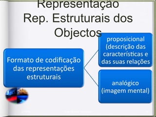 MECANISMOS DA PERCEPÇÃO HUMANA
 