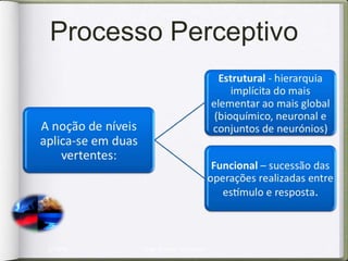 Processo Perceptivo




2/10/09   Jorge Barbosa - Psicologia   4
 