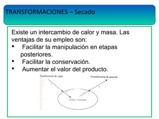 TRANSFORMACIONES – Secado
Existe un intercambio de calor y masa. Las
ventajas de su empleo son:
 Facilitar la manipulación en etapas
posteriores.
 Facilitar la conservación.
 Aumentar el valor del producto.
 