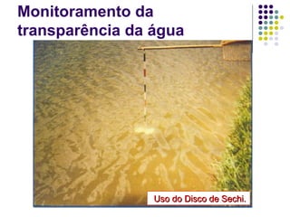 Monitoramento da
transparência da água
Uso do Disco de Sechi.Uso do Disco de Sechi.
 