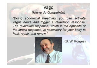 “Doing abdominal breathing, you can activate
vagus nerve and trigger a relaxation response.
The relaxation response, which is the opposite of
the stress response, is necessary for your body to
heal, repair, and renew.”
(S. W. Porges)
Vago
(Nervo da Compaixão)
 