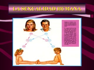 LA SEXUALIDAD HUMANA 
