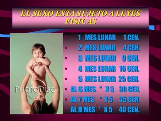 EL SEXO ESTA SUJETO A LEYES
FISICAS
• 1 MES LUNAR 1 CEN.
• 2 MES LUNAR 4 CEN.
• 3 MES LUNAR 9 CEN.
• 4 MES LUNAR 16 CEN.
• 5 MES LUNAR 25 CEN.
• AL 6 MES “ X 5 30 CEN.
• AL 7 MES “ X 5 35 CEN.
• AL 8 MES “ X 5 40 CEN.
 