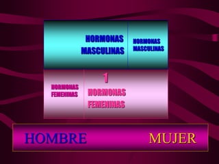 HOMBRE MUJER
1
HORMONAS
FEMENINAS
HORMONAS
MASCULINAS
HORMONAS
MASCULINAS
HORMONAS
FEMENINAS
 