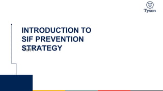 Sif Risk PSIF Prevention Program & Strategy - Updated 2023.pptx