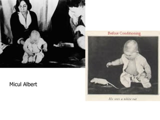 Psihologia Si Stiintele Cognitive