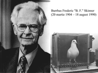 Psihologia Si Stiintele Cognitive