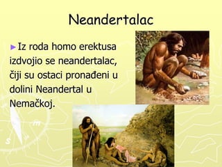 Neandertalac
► Iz

roda homo erektusa
izdvojio se neandertalac,
čiji su ostaci pronaĎeni u
dolini Neandertal u
Nemačkoj.

 