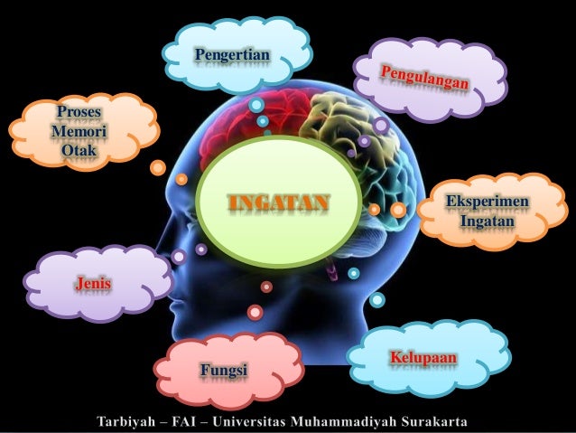 Image result for gambar psikologi umum