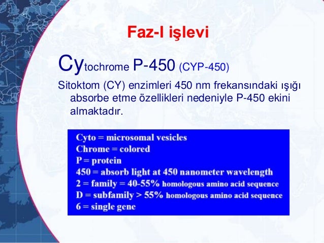 azithromycin orion vaikutusaika azithromycin orion vaikutusaika