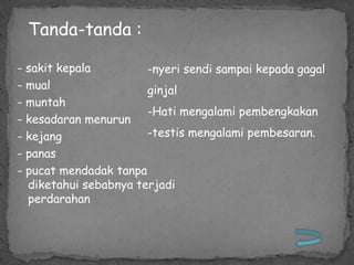 Tanda-tanda :

- sakit kepala         -nyeri sendi sampai kepada gagal
- mual                 ginjal
- muntah
                       -Hati mengalami pembengkakan
- kesadaran menurun
- kejang               -testis mengalami pembesaran.
- panas
- pucat mendadak tanpa
  diketahui sebabnya terjadi
  perdarahan
 
