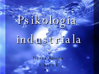 Psikologia  industriala Nerea Rincón  1. batx E   