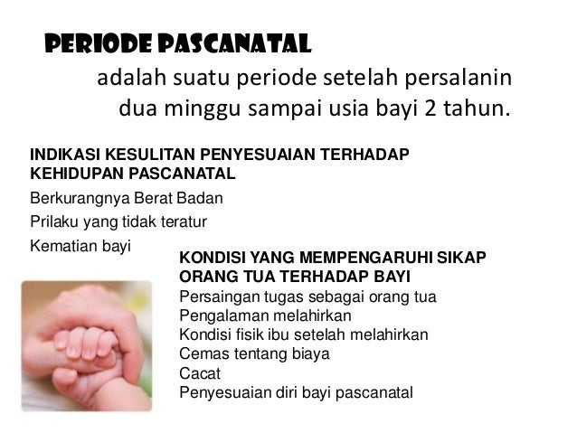 Resiko Dan Bahaya Sebulan Setelah Kuret Hamil Lagi