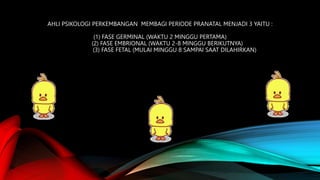 AHLI PSIKOLOGI PERKEMBANGAN MEMBAGI PERIODE PRANATAL MENJADI 3 YAITU :
(1) FASE GERMINAL (WAKTU 2 MINGGU PERTAMA)
(2) FASE EMBRIONAL (WAKTU 2-8 MINGGU BERIKUTNYA)
(3) FASE FETAL (MULAI MINGGU 8 SAMPAI SAAT DILAHIRKAN)
 