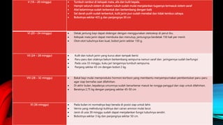 V (16 – 20 minggu)  Tumbuh rambut di kelopak mata, alis dan kulit kepala.
 Hampir seluruh sistem di dalam tubuh sudah mulai menjalankan tugasnya termasuk sistem saraf
 Alat kelaminnya sudah terbentuk dan berkembang dengan baik
 Sel darah putih sudah terbentuk, kulit janin pun sudah menebal dan tidak tembus cahaya.
 Bobotnya sekitar 425 g dan panjangnya 30 cm
VI (20 – 24 minggu)  Detak jantung bayi dapat didengar dengan menggunakan stetoskop di perut ibu.
 Kelopak mata janin dapat membuka dan menutup, jantungnya berdetak 150 kali per menit.
 Otot-otot tubuhnya kian kuat, bobot janin sekitar 150 g.
VII (24 – 28 minggu)  Kulit dan tubuh janin yang kurus akan tampak berisi
 Paru-paru dan otaknya belum berkembang sempurna namun saraf dan jaringannya sudah berfungsi
 Pada usia 33 minggu, kuku jari tangannya tumbuh sempurna.
 Panjang sekitar 43 cm dengan bobot 2 kg.
VIII (28 – 32 minggu)  Bakal bayi mulai memproduksi hormon kortison yang membantu menyempurnakan pembentukan paru-paru
agar siap bernafas saat dilahirkan.
 Di akhir bulan, kepalanya umumnya sudah benarbenar masuk ke rongga panggul dan siap untuk dilahirkan.
 Beratnya 2,75 kg dengan panjang sekitar 45-50 cm
IX (36 minggu)  Pada bulan ini normalnya bayi berada di posisi siap untuk lahir.
 Vernix yang melindungi kulitnya dari cairan amnion mulai larut.
 Janin di usia 39 minggu sudah dapat menjalankan fungsi tubuhnya sendiri.
 Bobotnya sekitar 3 kg dan panjangnya sekitar 50 cm.
 