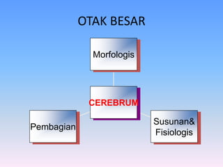 OTAK BESAR
Pembagian
Susunan&
Fisiologis
Morfologis
CEREBRUM
 