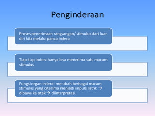 Penginderaan
Proses penerimaan rangsangan/ stimulus dari luar
diri kita melalui panca indera
Tiap-tiap indera hanya bisa menerima satu macam
stimulus
Fungsi organ indera: merubah berbagai macam
stimulus yang diterima menjadi impuls listrik 
dibawa ke otak  diinterpretasi.
 