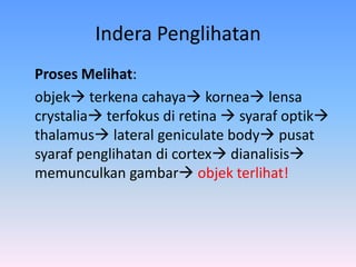 Indera Penglihatan
Proses Melihat:
objek terkena cahaya kornea lensa
crystalia terfokus di retina  syaraf optik
thalamus lateral geniculate body pusat
syaraf penglihatan di cortex dianalisis
memunculkan gambar objek terlihat!
 