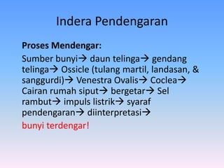 Indera Pendengaran
Proses Mendengar:
Sumber bunyi daun telinga gendang
telinga Ossicle (tulang martil, landasan, &
sanggurdi) Venestra Ovalis Coclea
Cairan rumah siput bergetar Sel
rambut impuls listrik syaraf
pendengaran diinterpretasi
bunyi terdengar!
 