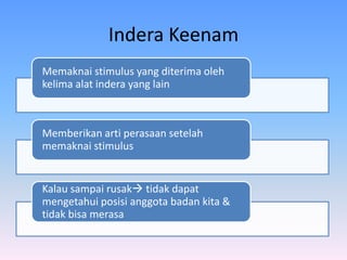 Indera Keenam
Memaknai stimulus yang diterima oleh
kelima alat indera yang lain
Memberikan arti perasaan setelah
memaknai stimulus
Kalau sampai rusak tidak dapat
mengetahui posisi anggota badan kita &
tidak bisa merasa
 