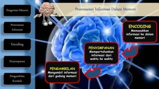 Pengertian Memori
Pemrosesan
Informasi
Encoding
Penyimpanan
Pengambilan
Kembali
Pemrosesan Informasi Dalam Memori
ENCODING
Memasukkan
informasi ke dalam
memori
PENYIMPANAN
Mempertahankan
informasi dari
waktu ke waktu
PENGAMBILAN
Mengambil informasi
dari gudang memori
 